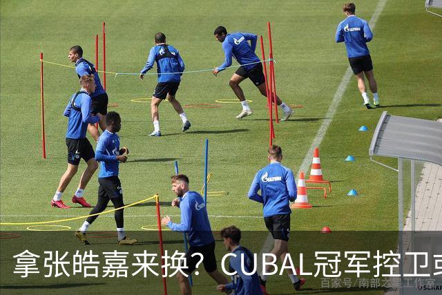 拿张皓嘉来换？CUBAL冠军控卫或被广东队看中，这可是加强版徐杰